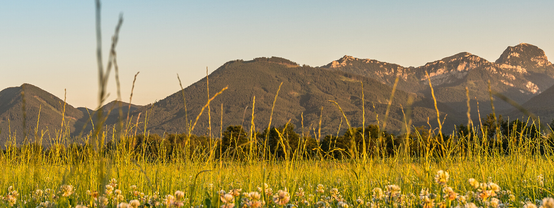 Foto: Bergblick aus Bad Feilnbach mit Wiese im Vordergrund