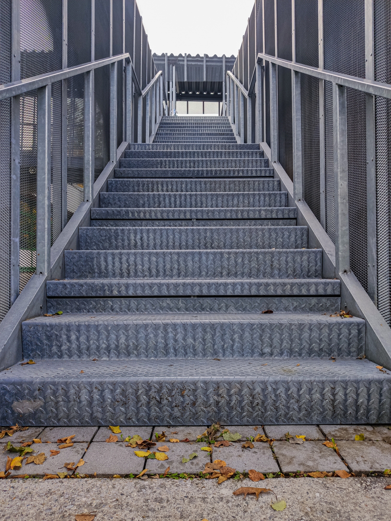 Bild einer Treppe aus Metall, vor der etwas Laub liegt
