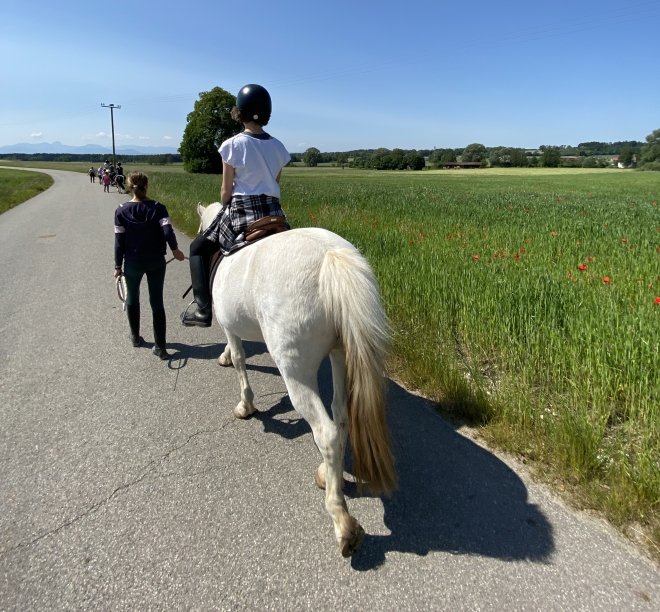 Foto: Berittene Pferde werden einen Feldweg entlang geführt