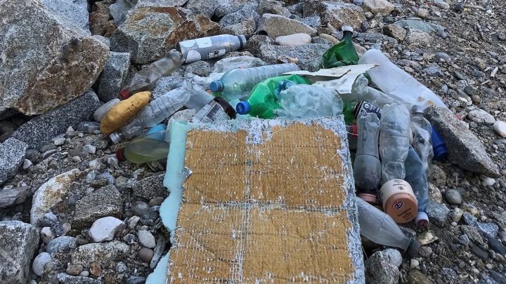 Foto: Angeschwemmter Müll (vor allem Plastikflaschen) auf Treibholz