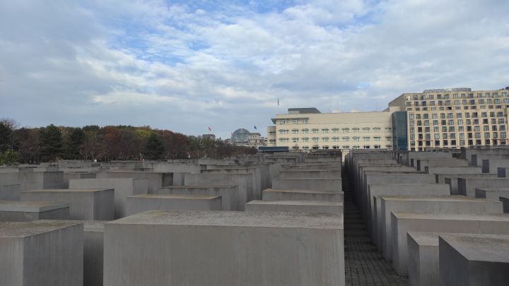 Unten sind sehr viele graue Beton Stelen mit verschiedenen Höhen, einige bis zu 4 Metern. Hinten sind einige Gebäude, unter anderem der Bundestag. Links hinten ist ein Wald.