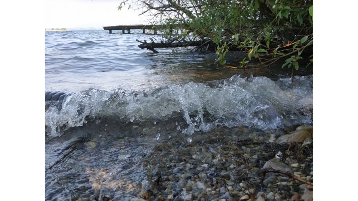 Foto: Wellen, welche gerade ans Ufer kommen. Im Hintergrund ist der See und ein Steg.