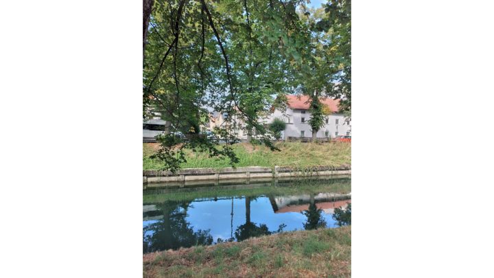 Foto: Mittig durch das Bild fließt waagrecht ein Kanal. Von oben hängen blattbewachsende Äste ins Bild. Auf dem Wasser spiegelt sich der blaue Himmel und ein Baum.  