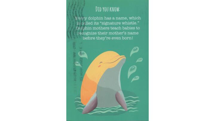 Diese Karte ist gezeichnet. Ein gelber Delfin streckt lächelnd den Oberkörper aus dem Wasser. Über ihm steht in Englisch ein Fakt über Delfine. Der Fakt handelt darum, dass Delfine einen bestimmten Pfeifton als Namen haben.