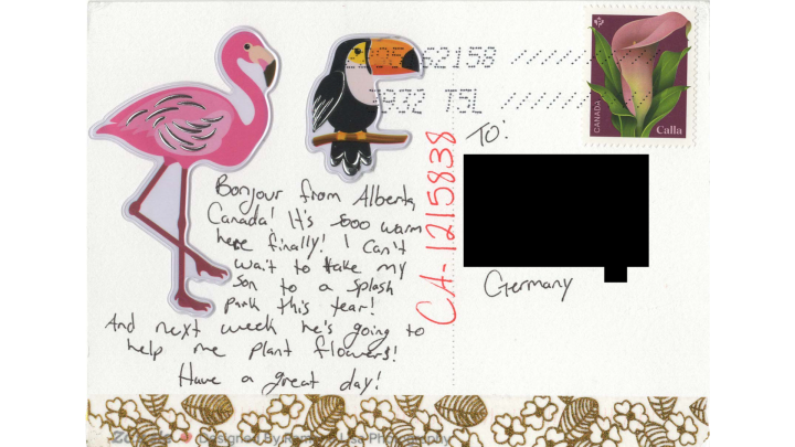 Beschriebene Postkarte auf Englisch mit Aufklebern von einem Pelikan und einem Flamingo.